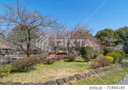 佐野城址(栃木県佐野市) 佐野城址(栃木県佐野市) 75868180