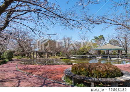 佐野城址(栃木県佐野市) 佐野城址(栃木県佐野市) 75868182