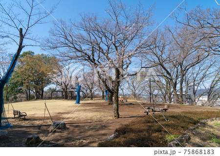 佐野城址(栃木県佐野市) 佐野城址(栃木県佐野市) 75868183
