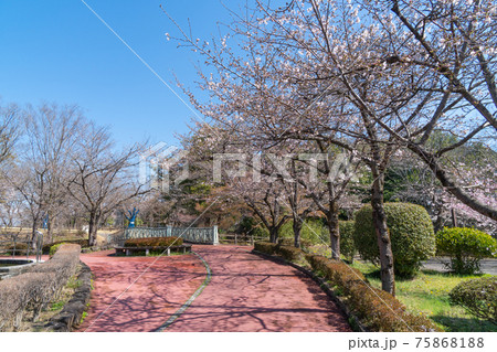 佐野城址(栃木県佐野市) 佐野城址(栃木県佐野市) 75868188