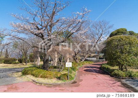 佐野城址(栃木県佐野市) 佐野城址(栃木県佐野市) 75868189