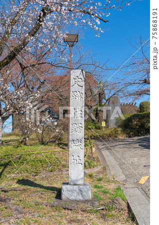 佐野城址の石標(栃木県佐野市) 佐野城址の石標(栃木県佐野市) 75868191