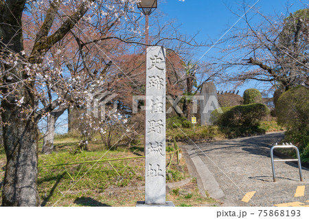 佐野城址の石標(栃木県佐野市) 佐野城址の石標(栃木県佐野市) 75868193