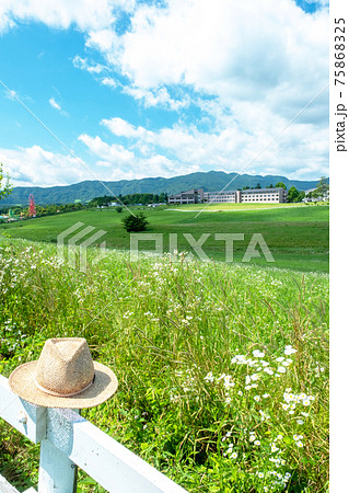 高原の新緑・初夏イメージ（蒜山高原） 75868325