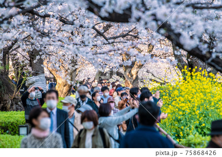 日本の東京都市景観 解除(緊急事態宣言解除3日目)。コロナ禍でも多くの花見客が…=24日、千鳥ヶ淵 日本の東京都市景観 解除(緊急事態宣言解除3日目)。コロナ禍でも多くの花見客が…=24日、千鳥ヶ淵 75868426