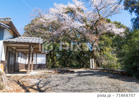 唐沢山神社(唐沢山ハイキングコース) 唐沢山神社(唐沢山ハイキングコース) 75868707