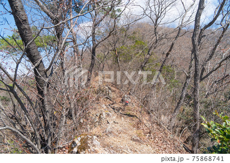 京路戸峠から諏訪岳への尾根(唐沢山ハイキングコース) 京路戸峠から諏訪岳への尾根(唐沢山ハイキングコース) 75868741