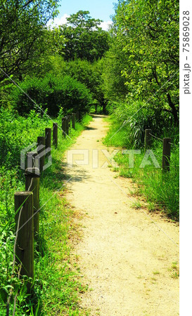 都市農業公園（東京都足立区）の風景 75869028