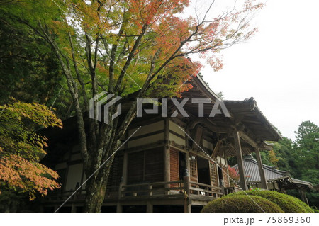 花山院菩提寺～花山法皇殿～ 75869360
