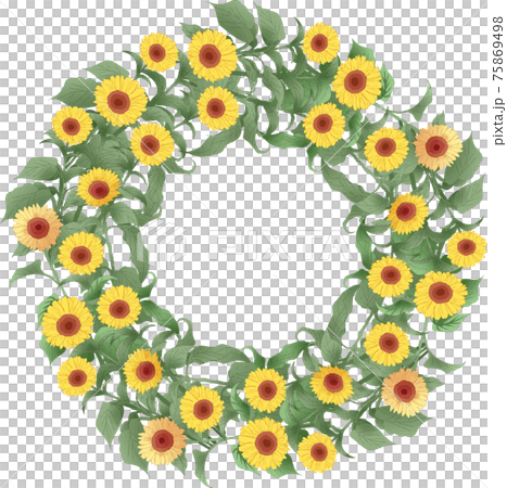ヒマワリの輪 75869498