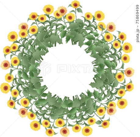 ヒマワリの輪 75869499