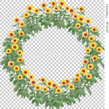 ヒマワリの輪 75869501