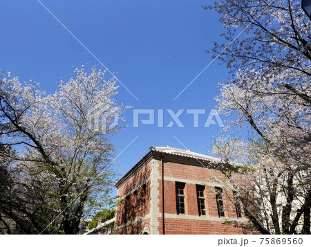 第五高等学校化学実験場　（熊本大学黒髪キャンパス） 75869560