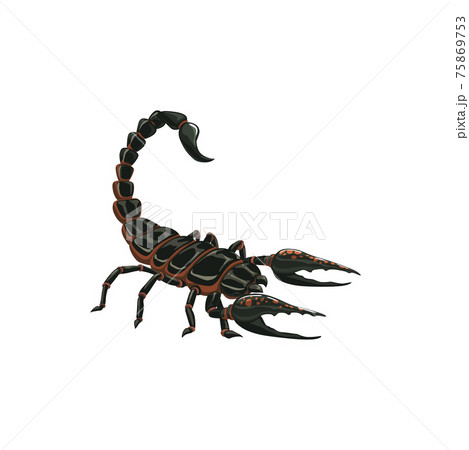 Scorpion icon, insect pest control extermination Scorpion icon, insect pest control extermination 75869753