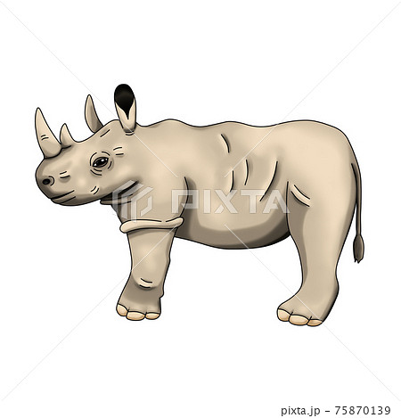 サイのイラスト素材