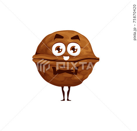 Brown Walnut In Hard Shell Isolated Emoticon Faceのイラスト素材