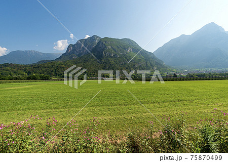 Valsugana - Summer Landscape of Sugana Valley with Green Meadows and Mountains 75870499