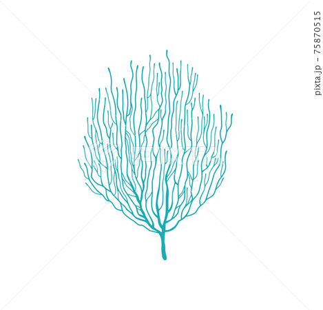 Blue bubble tip anemone isolated soft coral icon Blue bubble tip anemone isolated soft coral icon 75870515