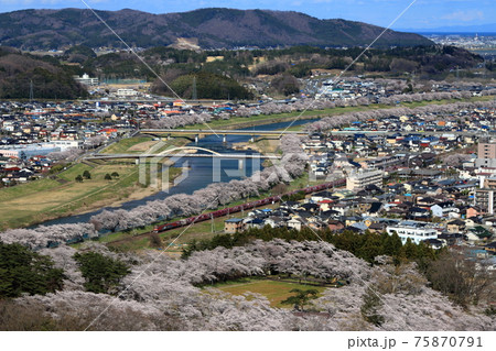 東北本線・満開の一目千本桜と貨物列車 東北本線・満開の一目千本桜と貨物列車 75870791