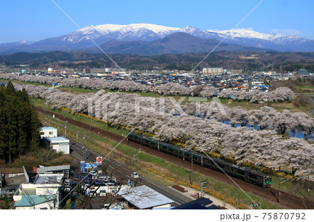 東北本線・満開の一目千本桜と普通列車 75870792