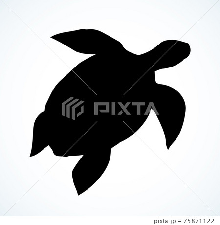 Sea turtle. Vector drawing icon Sea turtle. Vector drawing icon 75871122