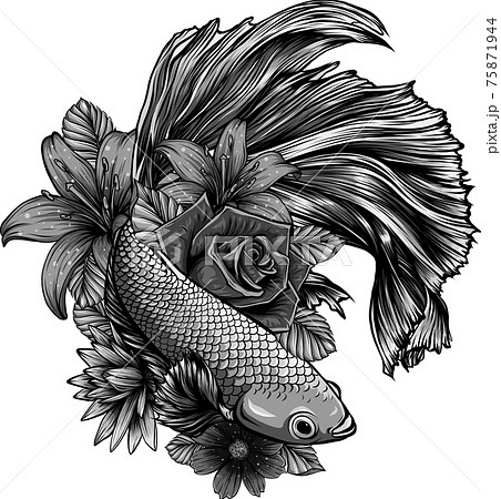 Betta Fish Lover Posters for Sale | Redbubble