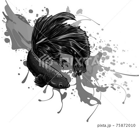 Premium Vector  Tattoo art siamese fighting fish hand drawing and sketch  black and white