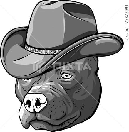 design of gangster pitbull with fedora hat vector illustration design of gangster pitbull with fedora hat vector illustration 75872091
