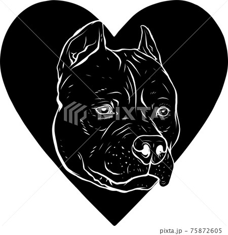 black silhouette of pitbull head dog in heart vector illustration black silhouette of pitbull head dog in heart vector illustration 75872605