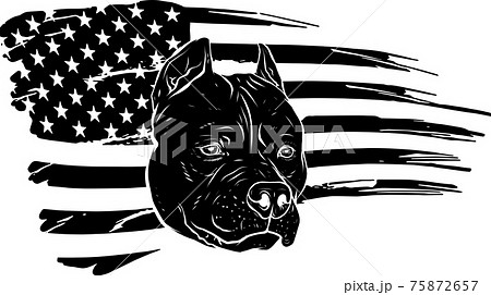 black silhouette of Head pitbull with american flag vector illustration 75872657