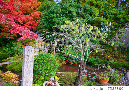 松尾寺　庫裏・方丈　庭　舞鶴市 75873004