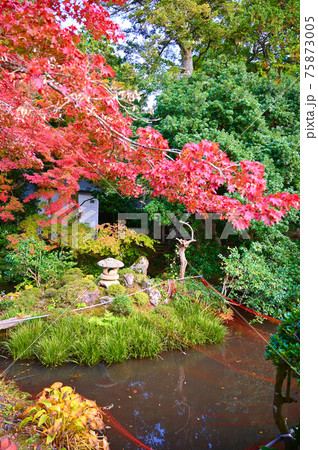 松尾寺 庫裏・方丈 庭 舞鶴市 松尾寺 庫裏・方丈 庭 舞鶴市 75873005