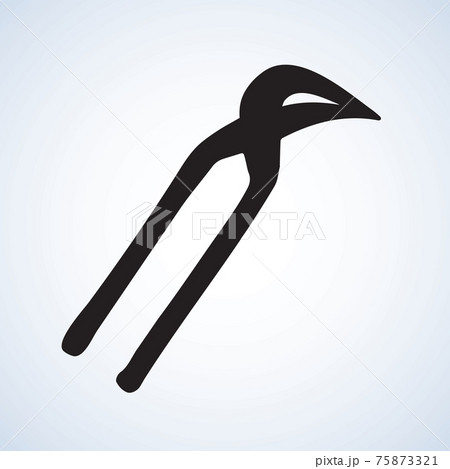 Starfish. Vector drawing 75873321