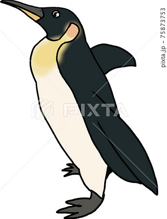 ペンギンさんのキャラクターのイラスト素材