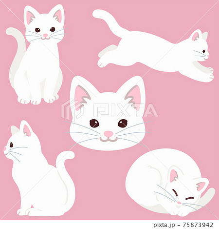 シンプルで可愛い白猫のイラストセット 主線なしのイラスト素材