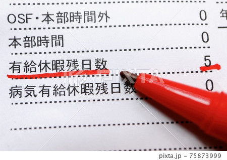 有給休暇残日数 有給休暇残日数 75873999