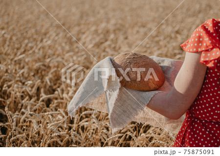 Homemade sourdough Bread Recipe. Homemade Artisan Bread in woman hands on wheat field background. Round bread in female hands Homemade sourdough Bread Recipe. Homemade Artisan Bread in woman hands on wheat field background. Round bread in female hands 75875091