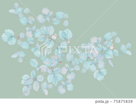 透明水彩 水彩画 花 75875839