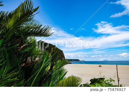 入田浜海岸 入田浜海岸 75876927