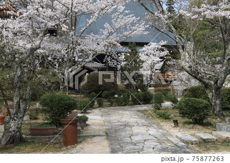 日應寺 5 日應寺 5 75877263