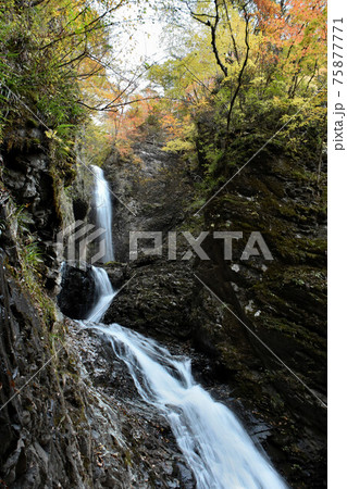 栃木県那須塩原市　竜化の滝 75877771