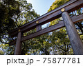 明治神宮　鳥居 75877781