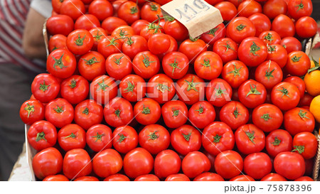 Tomato Stack 75878396