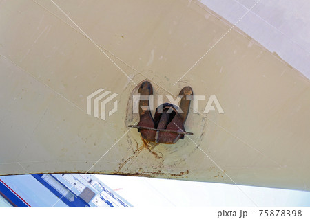 Ship Anchor 75878398