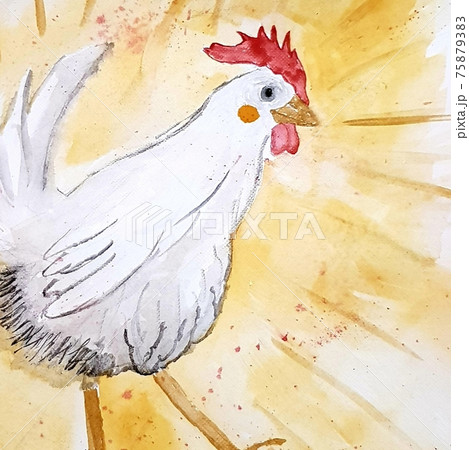 Watercolor white american hen illustration  75879383