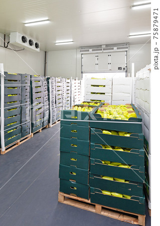Peppers Cold Storage Peppers Cold Storage 75879471