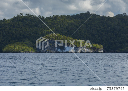 Small tropical island, worn by sea water, covered with lush vegetation, off the beautiful and heavenly shores of Gam Island in Raja Ampat, West Papua, Indonesia. 75879745