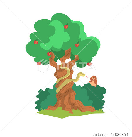 Serpent or Snake of Temptation in the Garden of Eden as Narrative from Bible Vector Illustration 75880351