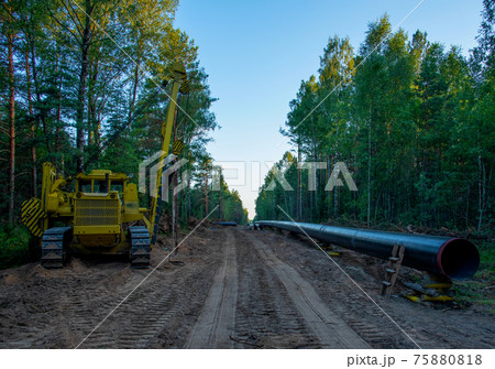Excavator clearing forest for new development. Excavator clearing forest for new development. 75880818