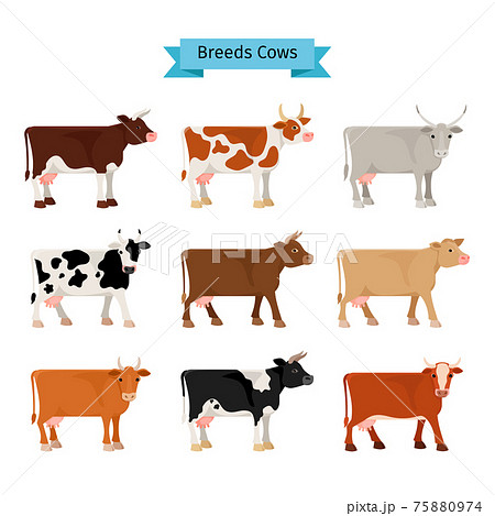 Cow flat icons 75880974